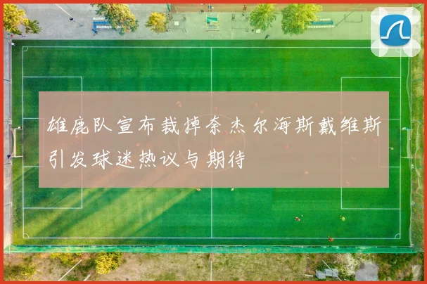 雄鹿队宣布裁掉奈杰尔海斯戴维斯引发球迷热议与期待