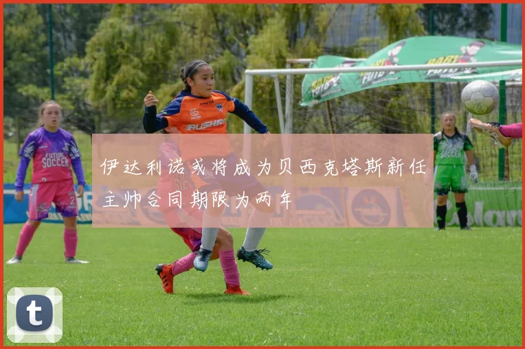 伊达利诺或将成为贝西克塔斯新任主帅合同期限为两年